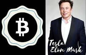 Cryptocurrency is my safe word — elon musk (@elonmusk) 13 april 2019 Bitcoin Is Not My Safe Word Tesla Founder Elon Musk Newslogical