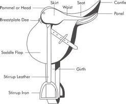 Pin By K Trav On Horses Everything About Horses Horse Lessons Horse Grooming English Saddle