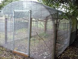 Bird Netting For Garden Near Me Aviary Netting Here Is A Photo Of My New Aviary My Dad Built Me I Love It And It Is Bird Houses Bird Aviary Aviary