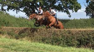 The individual defending champions from london 2012 all won gold again — germany's michael jung in eventing, charlotte dujardin in dressage and fellow british rider nick skelton in show jumping on big star, the same horse he won gold with four years earlier. Don T Be A Pussy Watch Charlotte Dujardin And Rory Gilsenan Go Hedge Hopping Horse Hound