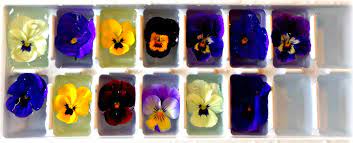 We did not find results for: The Edible Flower Fork To Fork Eating In Northern Ireland