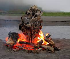 Check spelling or type a new query. San Diego Beach Bonfires San Diego Beaches With Fire Pits 710 Beach Rentals