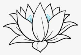 Flower Drawing Png Transparent Flower Drawing Png Image Free Download Pngkey Some of my drawings here. flower drawing png transparent flower