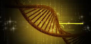 For the present study, we selected participants whose baseline data were available on diet, lifestyle factors, genetics (i.e., apoe ε4), and . How Health And Lifestyle Choices Can Change Your Genetic Make Up The Atlantic
