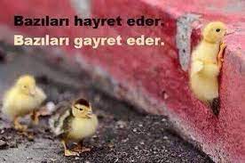 To use the nails or claws to. Tarsus Iskur Photos Facebook