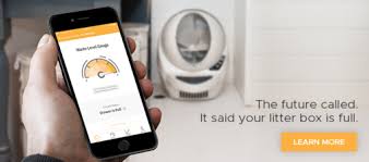 This website will convert your cat age's to the corresponding human age. How To Convert Your Cat S Age To Human Years Litter Robot Blog