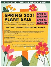 Pachypodium species, madagascar palm pachypodium rutenbergianum. Horticulture Technology Fayetteville Technical Community College