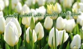 صور صباح الفل بيضاء رقيقة