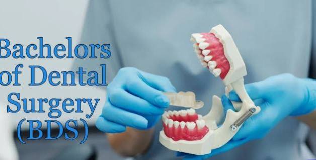 Dental therapy, Sefako makghatho university of health science, campus, applications