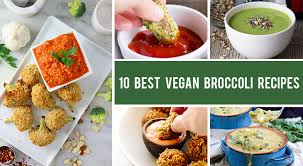 You're likely tired of sending the same old peanut butter and jelly sandwic. 10 Best Vegan Broccoli Recipes Even Kids Will Love Gourmandelle