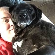 Sal Valente (salooch)