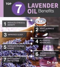 10 Lavender Oil Benefits For Major Diseases Minor Ailments Dr Axe Lavender Oil Benefits Lavender Benefits Essential Oil Benefits