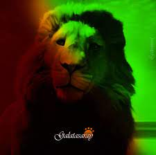 Gökhan çeli̇k 68.220 views4 year ago. Galatasaray Aslan Wallpaper By Gsdesigned On Deviantart