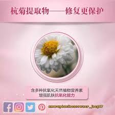 pin on amway 安利马來西亚传销商