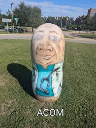 This peanut is located at the Alabama College of Osteopathic Medicine in  Dothan. It is located in the round-about when you first enter the campus.