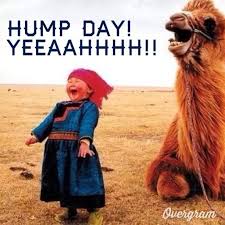 Slogging through the day somehow? 44 Amusing Wednesday Work Memes Images Pictures Picsmine