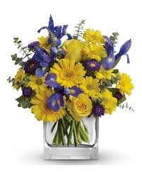 We did not find results for: Summer Breeze Flower Delivery Southport Same Day Florist Delivery Flowers Of Southport