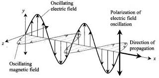 Sat Physics Physical Optics Polarization Of Light Polarization Of Light Light Waves Are Electromagnetic Waves Consisting Of Both In 2020 Physics Optical Light Wave