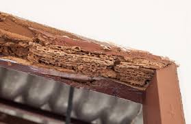 This absorption of heat, which keeps the surface of our planet warm enough to sustain us, is called the greenhouse effect. Pests That Can Seriously Damage Your House Or Apartment Slideshow The Active Times