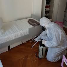 Il est alors utile de penser à un traitement efficace pour. Punaise De Lit Comment Detecter Leur Presence Et S En Debarrasser