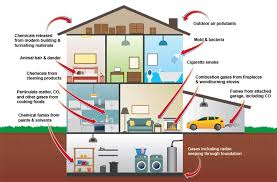 Image result for images Improving Indoor Air Quality