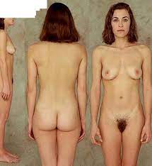 Female Proportions Nude Photo - Ideal Proportion - Joshua Nava Arts