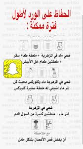 Pin By Manar Ali Manar Ali On العنايه بالورد In 2020 Cool Words Words Word Search Puzzle