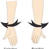 The human body is also divided into anatomical axes axis of rotation is an imaginary line (point of rotation) that passes through a joint or the body to describe the movement. Https Encrypted Tbn0 Gstatic Com Images Q Tbn And9gcr9d5japdtwvciqxjmgi09sy6bf94bnp3lakfkwlro7e7nx3hq8 Usqp Cau