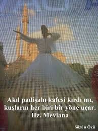 Akil Padisahi Kafesi Kirdi Mi Kuslarin Her Biri Bir Yone Ucar Hz Mevlana Sozler Anlamlisozler Guzelsozler Manalisozler Ozlu Sozler Maneviyat Resimler
