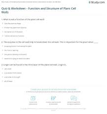 Welcome to esl printables, the website where english language teachers exchange resources: Quiz Worksheet Function And Structure Of Plant Cell Walls Study Com