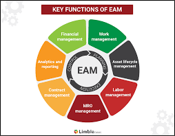 This is a dynamic role that will report to the senior director of asset management and work directly with our asset management, project management and property management teams. A Complete Guide To Enterprise Asset Management What Is Eam