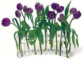 Pin On Flex Vase Test Tube Floral Designs