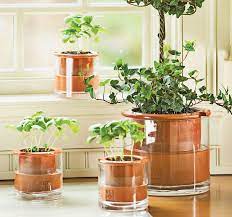 Wet Pots Self Watering Terracotta Pots Garden Supplies Self Watering Planter Self Watering Pots