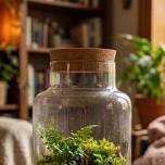 The Art of Terrariums – July 30