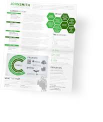 infographic resumes the world's most