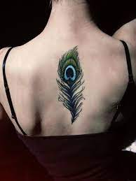 The peacock feather tattoos attach a unique side to the individuals overall personality making it an interesting and colorful option to get the beautiful peacock feather. Beautiful Peacock Feather Tattoo Ideas And Their Meaning