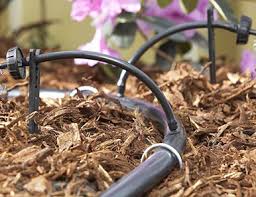 We did not find results for: Drip Irrigation Alternative Earthcare
