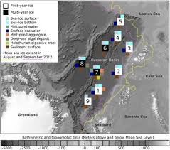 Frontiers Effects Of Ice Algal Aggregate Export On The