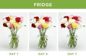 How to store flowers without fridge. How To Make Flowers Last Longer 9 Tricks Proflowers