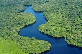 El río amazonas y la amazonía del perú son ideales para aficionados a la naturaleza y la biodiversidad. Encontro No Acre Discute Preservacao De Areas Ambientais Entre Brasil Peru E Bolivia Land Portal