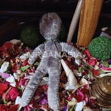 Mantra pengasihan adalah salah satu ilmu spiritual yang paling cocok dilakukan karena punya efek itulah 6 mantra ilmu pengasihan yang sudah kami terangkan secara detail dan jelas kepada anda jasa pelet yang terbukti ampuh. Jangan Sembarangan 5 Benda Pribadi Ini Bisa Jadi Media Santet Urbanasia Com