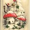 Amanita is a genus of mushroom native to temperate regions of europe and north america, as far south as florida and as far north as siberia in eastern russia (erowid 2007). 3