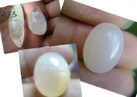 Menyediakan aneka batu akik mani gajah dari berbagai pulau di antaranya * batu mani gajah lampung waykambas sumatera * batu mani gajah dari jawa dari sangiran dan sragen. Khasiat Batu Akik Mani Gajah Archives Dewi Cinta