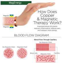 Image result for Copper Chestnut 2012 Cygnet