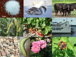 Is H2O(Water) Organic Or Inorganic Compound?||Is Water An Organic Molecule?  - Youtube