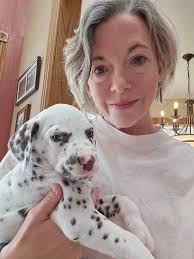 Introducing 2nd dalmatian puppy to horse. Road trialing tips needed