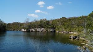 Key largo hammocks state botanical site area map. Exploring Dagny Johnson Key Largo Hammock Botanical State Park Youtube
