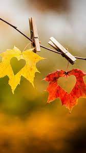 30 Romantic Valentine S Day Wallpaper Cuded Autumn Photography Fall Wallpaper Fall Pictures