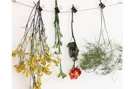 Check spelling or type a new query. Kako Da Ukrasite Kucu Suvim Cvecem Moj Enterijer Kupatila Namestaj Kuhinje Garniture