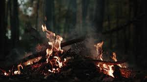 Lionel "Wise Spirit" Custalow